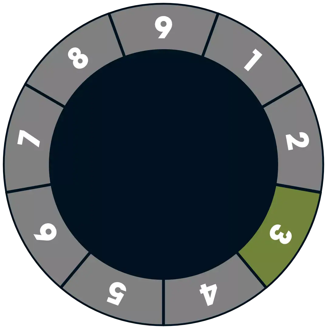 Enneagram Type 3