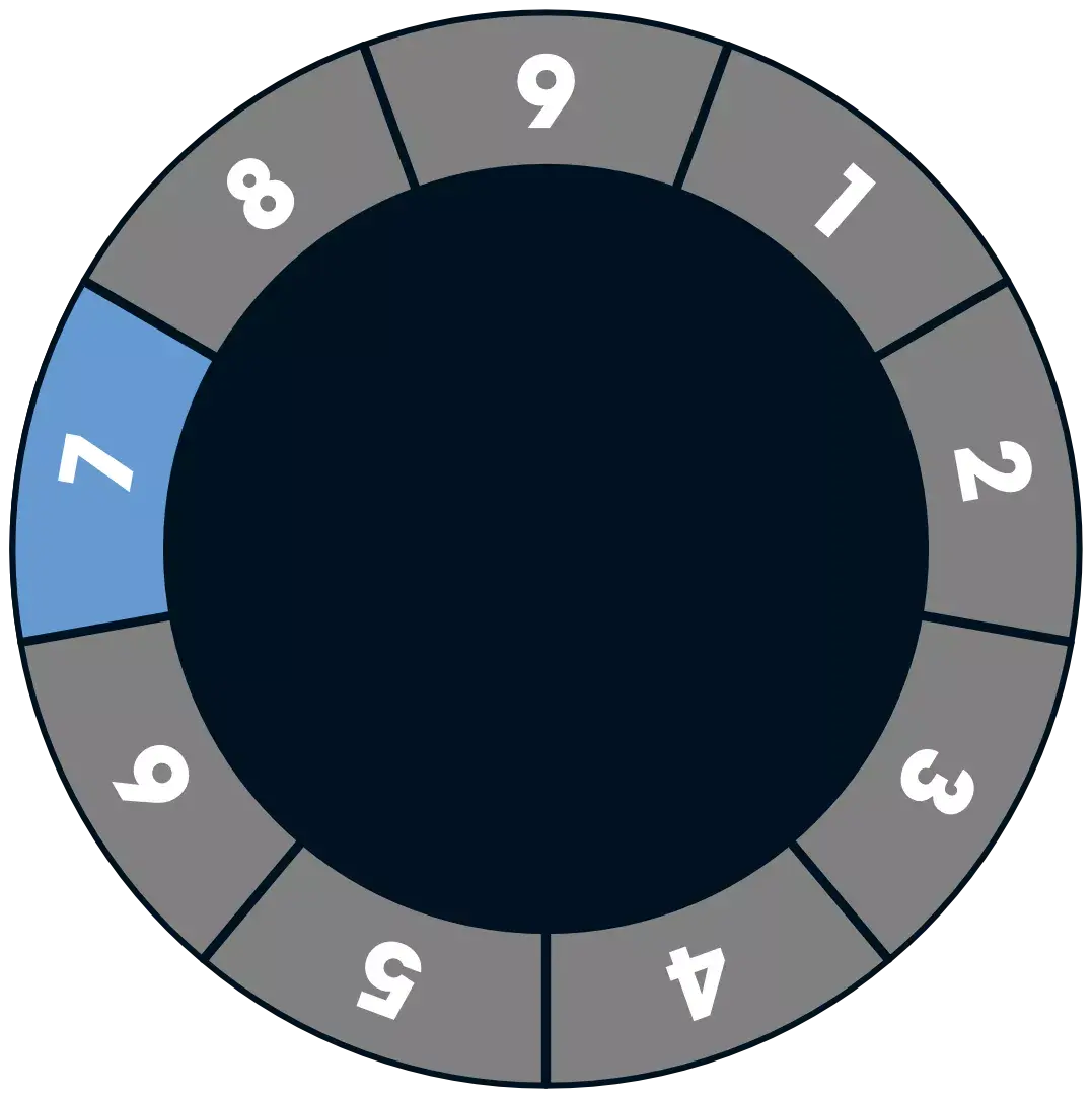 Enneagram Type 7