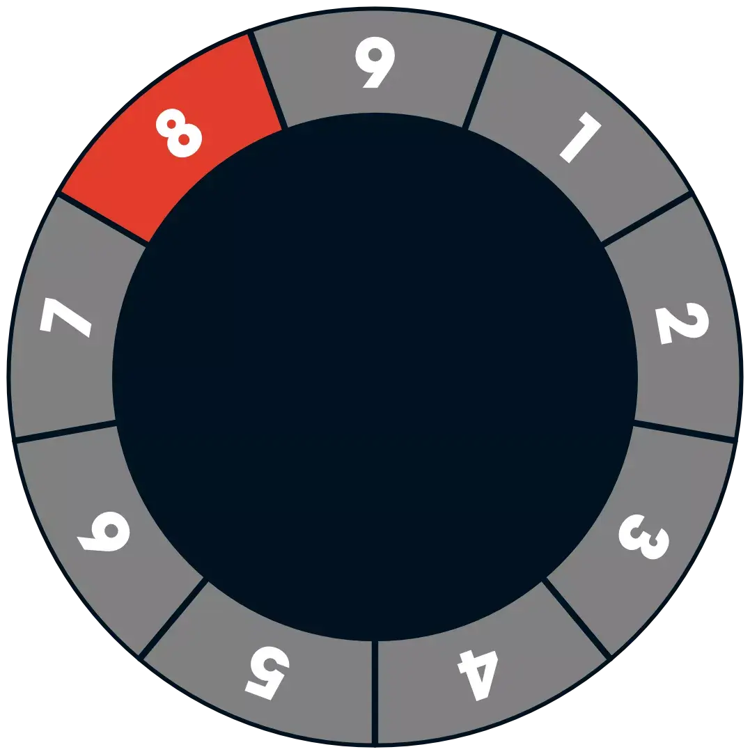 Enneagram Type 8